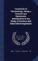 bokomslag Essentials of Bacteriology; Being a Concise and Systematic Introduction to the Study of Bacteria and Allied Microo&#776;rganisms