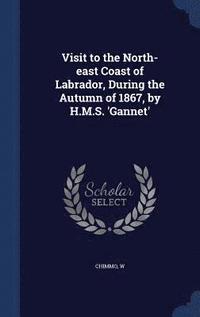 bokomslag Visit to the North-east Coast of Labrador, During the Autumn of 1867, by H.M.S. 'Gannet'