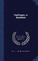 bokomslag Saxifrages, or Rockfoils