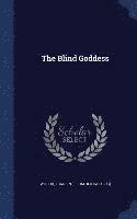 bokomslag Blind Goddess
