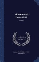 bokomslag The Haunted Homestead