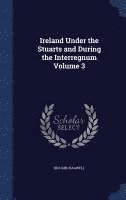 Richard Bagwell - Ireland Under the Stuarts and During the Interregnum Volume 3, Inbunden