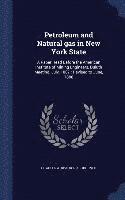 bokomslag Petroleum and Natural gas in New York State