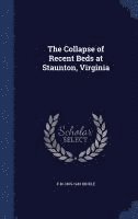 bokomslag Collapse of Recent Beds at Staunton, Virginia