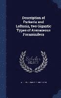 bokomslag Description of Parkeria and Loftusia, two Gigantic Types of Arenaceous Foraminifera