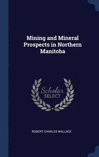 bokomslag Mining and Mineral Prospects in Northern Manitoba