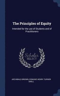 bokomslag The Principles of Equity