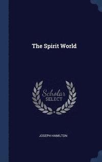 bokomslag The Spirit World
