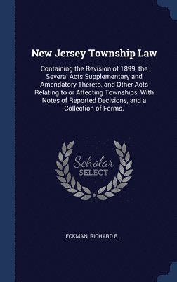 bokomslag New Jersey Township Law