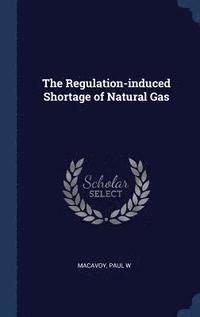 bokomslag Regulation-induced Shortage of Natural Gas