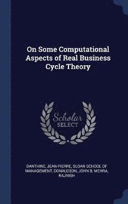 bokomslag On Some Computational Aspects of Real Business Cycle Theory