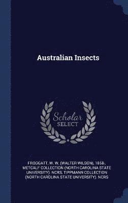 Australian Insects 1