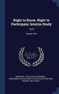 bokomslag Right to Know, Right to Participate; Interim Study