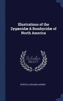 bokomslag Illustrations of the Zygænidæ & Bombycidæ of North America
