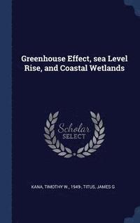 bokomslag Greenhouse Effect, sea Level Rise, and Coastal Wetlands