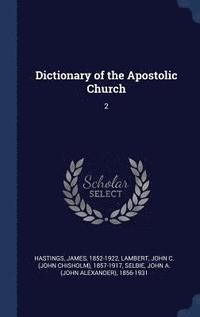 bokomslag Dictionary of the Apostolic Church