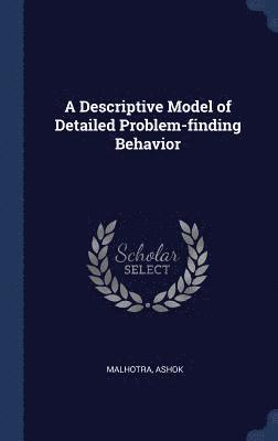 Descriptive Model of Detailed Problem-finding Behavior