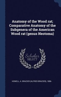 bokomslag Anatomy of the Wood rat; Comparative Anatomy of the Subgenera of the American Wood rat (genus Neotoma)