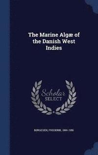 bokomslag Marine Algæ of the Danish West Indies