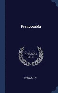 bokomslag Pycnogonida