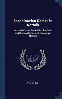 bokomslag Scandinavian Names in Norfolk