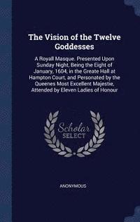 bokomslag Vision of the Twelve Goddesses
