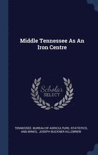 bokomslag Middle Tennessee As An Iron Centre