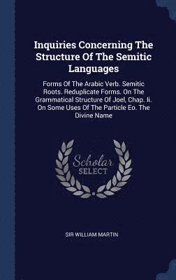 bokomslag Inquiries Concerning The Structure Of The Semitic Languages