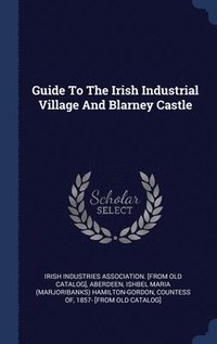 bokomslag Guide To The Irish Industrial Village And Blarney Castle