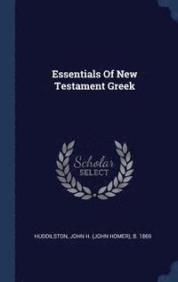 bokomslag Essentials Of New Testament Greek