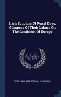 bokomslag Irish Scholars Of Penal Days; Glimpses Of Their Labors On The Continent Of Europe