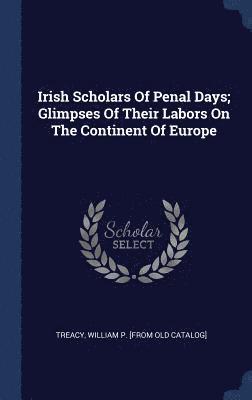 bokomslag Irish Scholars Of Penal Days; Glimpses Of Their Labors On The Continent Of Europe