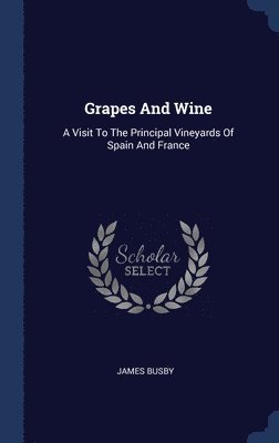 Grapes And Wine 1