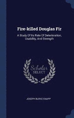 Fire-killed Douglas Fir 1