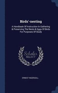 bokomslag Birds'-nesting