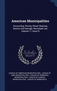 bokomslag American Municipalities