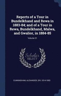 bokomslag Reports of a Tour in Bundelkhand and Rewa in 1883-84; and of a Tour in Rewa, Bundelkhand, Malwa, and Gwalior, in 1884-85; Volume 21