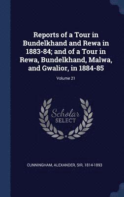 Reports of a Tour in Bundelkhand and Rewa in 1883-84; and of a Tour in Rewa, Bundelkhand, Malwa, and Gwalior, in 1884-85; Volume 21, Inbunden