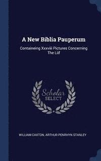 bokomslag A New Biblia Pauperum