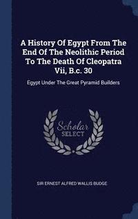 bokomslag A History Of Egypt From The End Of The Neolithic Period To The Death Of Cleopatra Vii, B.c. 30