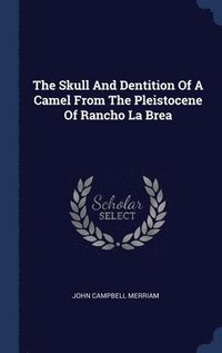 bokomslag The Skull And Dentition Of A Camel From The Pleistocene Of Rancho La Brea