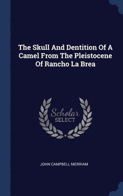 The Skull And Dentition Of A Camel From The Pleistocene Of Rancho La Brea 1