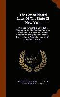 bokomslag The Consolidated Laws Of The State Of New York