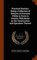 bokomslag Practical Statutes, Being a Collection of Statutes of Practical Utility in Force in Ontario, With Notes on the Construction and Operation Thereof