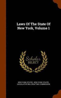 bokomslag Laws Of The State Of New York, Volume 1