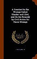bokomslag Treatise On the Wrongs Called Slander and Libel, and On the Remedy by Civil Action for Those Wrongs