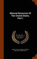 Mineral Resources Of The United States, Part 1, Inbunden