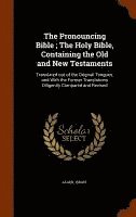 bokomslag Pronouncing Bible; The Holy Bible, Containing the Old and New Testaments