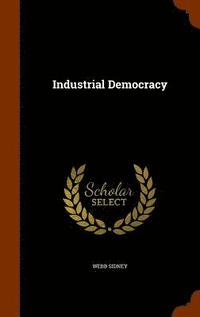 bokomslag Industrial Democracy