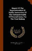 Report Of The Superintendent Of Public Instruction Of The Commonwealth Of Pennsylvania, For The Year Ending 1